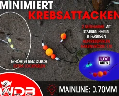 Wild Devil Baits Surf Leader Bottomless Leader Bodenfreies Brandungsvorfach Plattfisch Meeresvorfach Salt Rig Brandungssystem Angelköder
