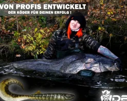 Wild Devil Baits Tornado Curly Tail Natural Perch Twister Gummifisch Shad Kunstköder Softlure Gummiköder Hecht Barsch Zander Angelköder