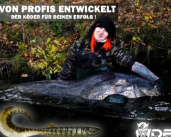 Wild Devil Baits Tornado Curly Tail Natural Perch Twister Gummifisch Shad Kunstköder Softlure Gummiköder Hecht Barsch Zander Angelköder