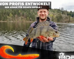 Wild Devil Baits Tornado Curly Tail Twister Gummifisch Shad Kunstköder Softlure Gummiköder Hecht Barsch Zander Angelköder