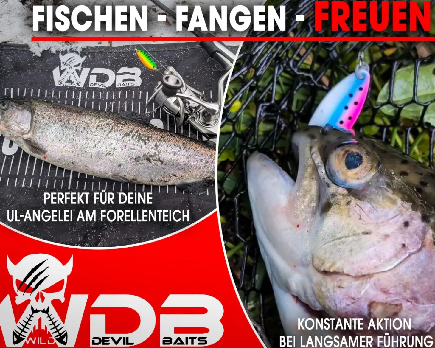 Wild Devil Baits Trout Spoon Rainbow Trout Forellen Blinker Mini Spoon Forellenangeln Angelköder